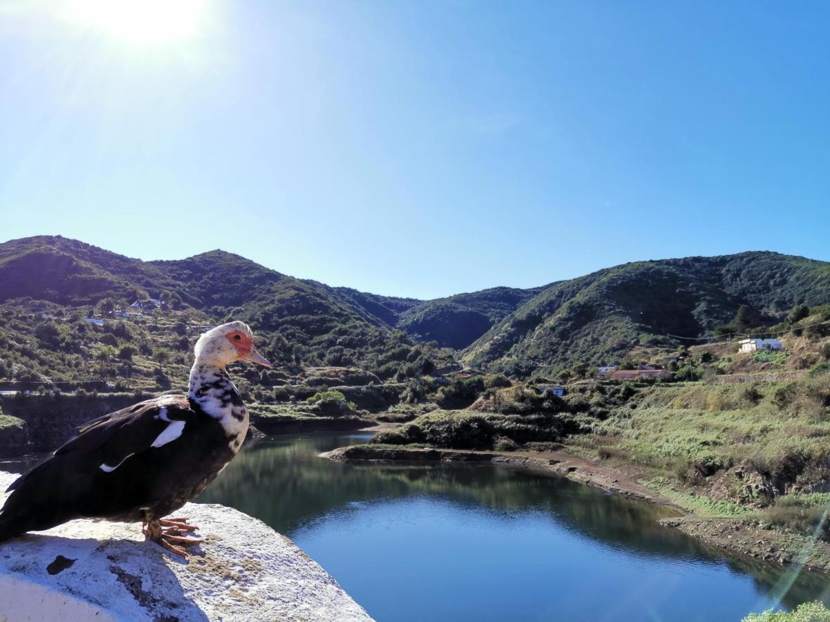 Casa Rural Leo: Remanso De Paz Y Tranquilidad Agulo Ngoại thất bức ảnh